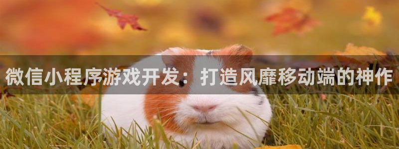 沐鸣娱乐2手机版