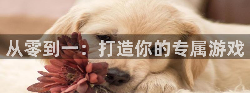 沐鸣娱乐2手机下载官网