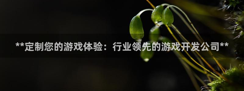 沐鸣2官方注册