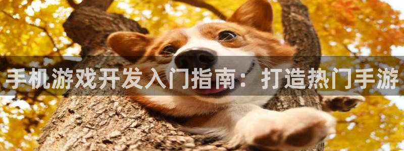 沐鸣娱乐2