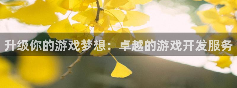 沐鸣娱乐2官网网址是什么：升级你的游戏梦想：卓越的游戏开发服务