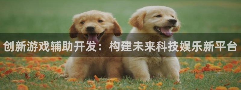 沐鸣娱乐2登入：创新游戏辅助开发：构建未来科技娱乐新平台