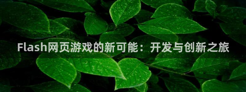 沐鸣2多少年：Flash网页游戏的新可能：开发与创新之旅