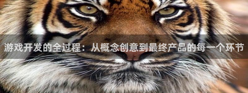 沐鸣娱乐2平台：游戏开发的全过程：从概念创意到最终产品的每一个环节