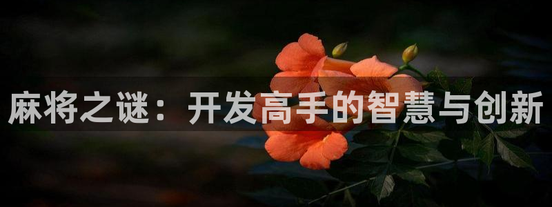 沐鸣娱乐2代理：麻将之谜：开发高手的智慧与创新