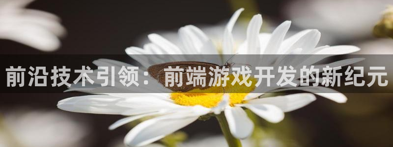 沐鸣2注册33300tg：前沿技术引领：前端游戏开发的新纪元