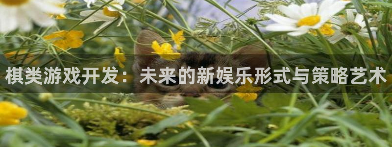 沐鸣娱乐2官网网址是多少：棋类游戏开发：未来的新娱乐形式与策略艺术