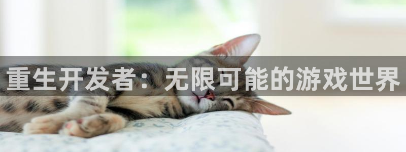 沐鸣娱乐2游戏说明：重生开发者：无限可能的游戏世界