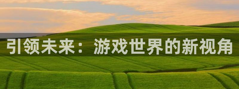 沐鸣娱乐2手机下载官网：引领未来：游戏世界的新视角