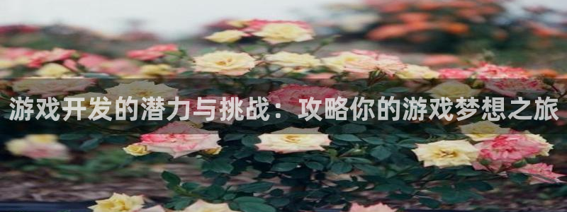 沐鸣2娱乐平台登录客服：游戏开发的潜力与挑战：攻略你的游戏梦想之旅