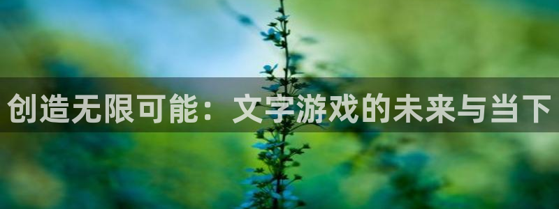 沐鸣2登录地址：创造无限可能：文字游戏的未来与当下