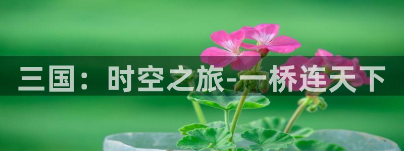 沐鸣娱乐2代理：三国：时空之旅-一桥连天下