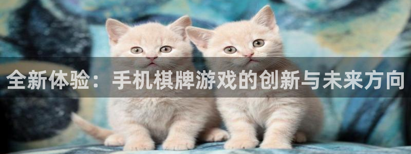 沐鸣2平台登录线路：全新体验：手机棋牌游戏的创新与未来方向