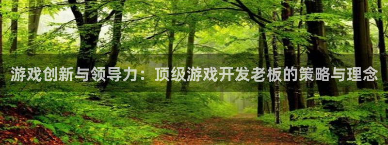 沐鸣2注册丘27337：游戏创新与领导力：顶级游戏开发老板的策略与理念