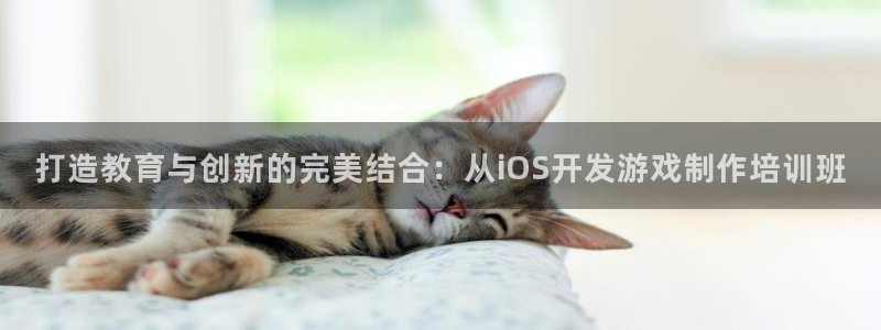 沐鸣娱乐2登入：打造教育与创新的完美结合：从iOS开发游戏制作培训班