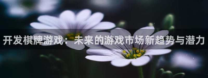 沐鸣娱乐2在线登录：开发棋牌游戏：未来的游戏市场新趋势与潜力