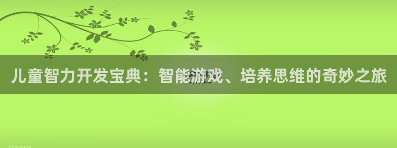 沐鸣娱乐2注册地址：儿童智力开发宝典：智能游戏、培养思维的奇妙之旅
