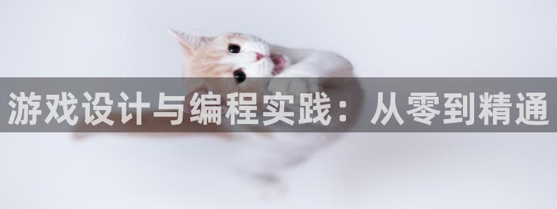 沐鸣2官方注册：游戏设计与编程实践：从零到精通