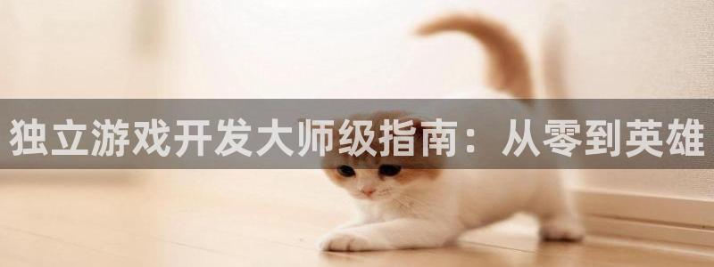 沐鸣2平台登录线路：独立游戏开发大师级指南：从零到英雄