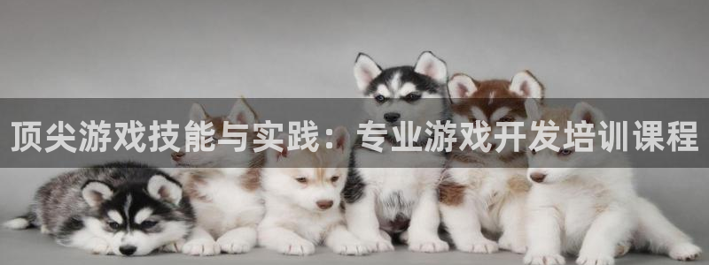 沐鸣娱乐2可靠吗：顶尖游戏技能与实践：专业游戏开发培训课程